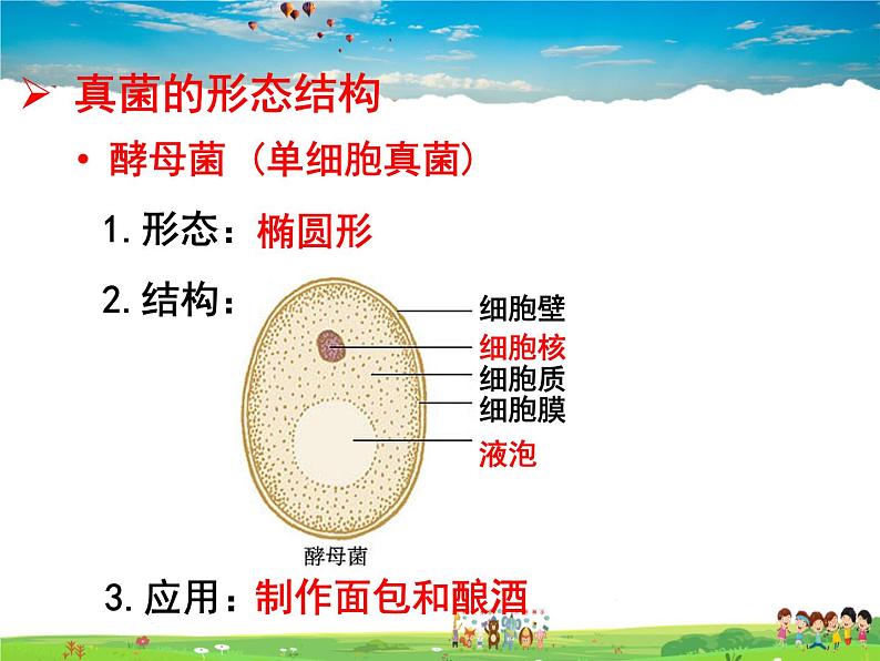 济南版生物七年级上册  2.3.3 真菌【课件】04