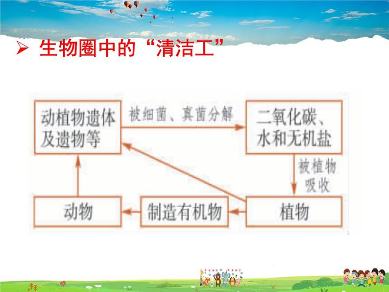 济南版生物七年级上册  2.3.4 微生物在生物圈中的作用【课件】04