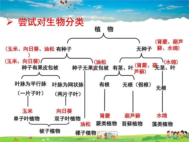 济南版生物七年级上册  2.4.1  生物的分类方法【课件】04