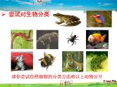 济南版生物七年级上册  2.4.1  生物的分类方法【课件】