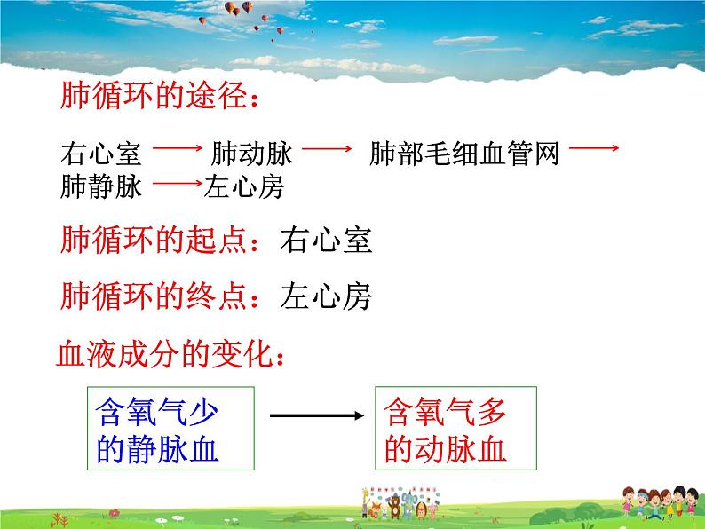 物质运输的途径PPT课件免费下载07