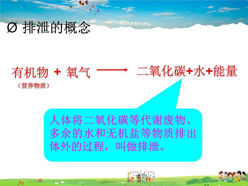 尿液的形成和排出PPT课件免费下载02