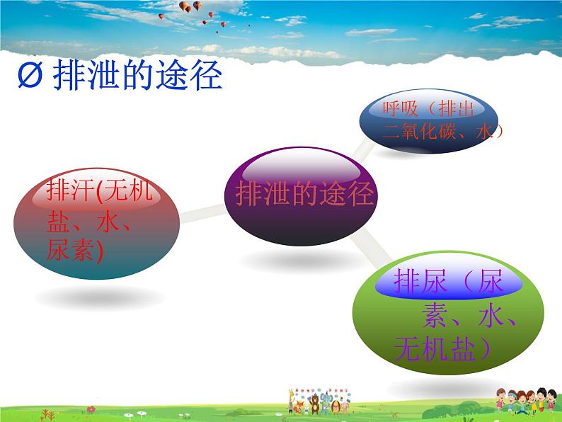 尿液的形成和排出PPT课件免费下载03