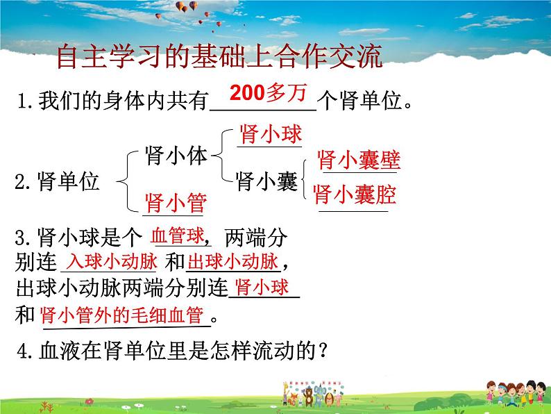 尿液的形成和排出PPT课件免费下载07