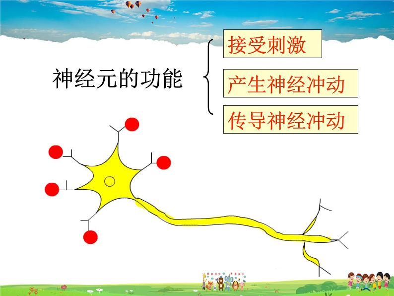 神经调节的结构基础PPT课件免费下载04