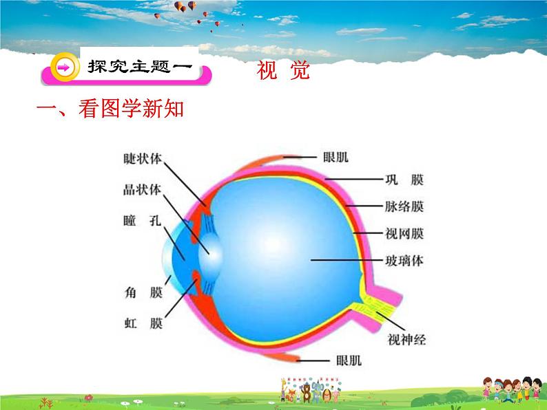 人体对周围世界的感知PPT课件免费下载05