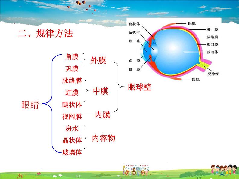 人体对周围世界的感知PPT课件免费下载06