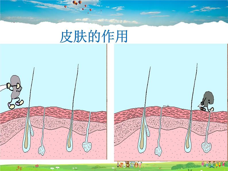 人体的免疫功能PPT课件免费下载03