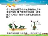 人教版生物八年级下册  7.1.1 植物的生殖【课件】