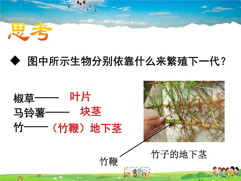 人教版生物八年级下册  7.1.1 植物的生殖【课件】08