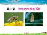 人教版生物八年级下册  7.1.2 昆虫的生殖和发育【课件】
