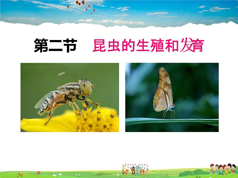 人教版生物八年级下册  7.1.2 昆虫的生殖和发育【课件】01