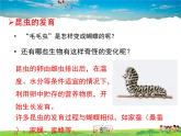 人教版生物八年级下册  7.1.2 昆虫的生殖和发育【课件】