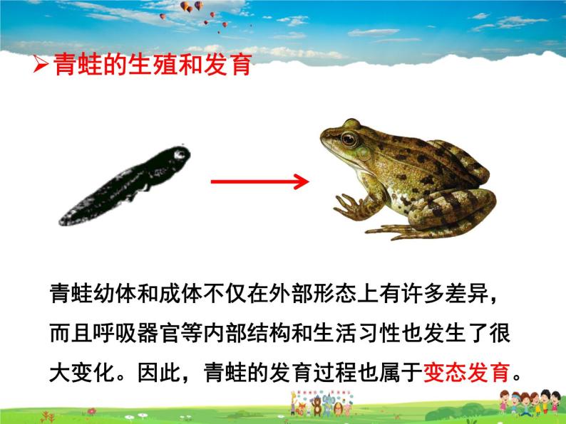 两栖动物的生殖和发育PPT课件免费下载-教习网|课件下载