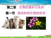 人教版生物八年级下册  7.2.1  基因控制生物的性状【课件】