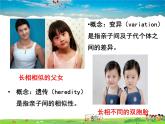 人教版生物八年级下册  7.2.1  基因控制生物的性状【课件】