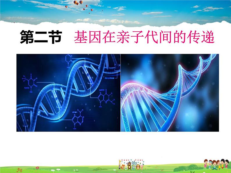 人教版生物八年级下册  7.2.2  基因在亲子代间的传递【课件】01