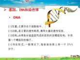 人教版生物八年级下册  7.2.2  基因在亲子代间的传递【课件】