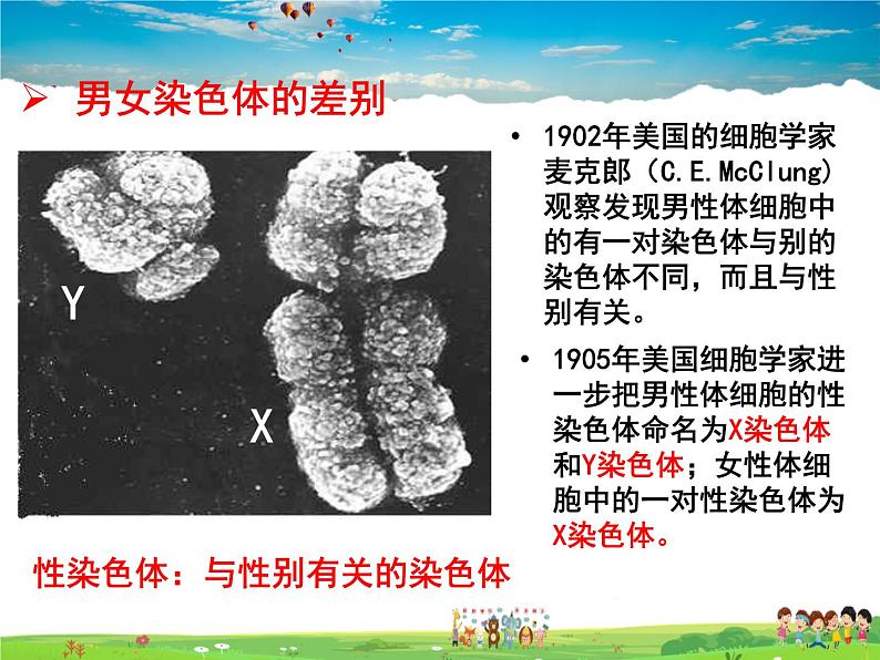 人教版生物八年级下册  7.2.4 人的性别遗传【课件】第3页