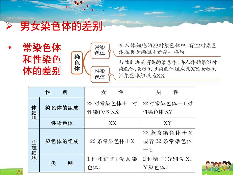 人教版生物八年级下册  7.2.4 人的性别遗传【课件】第6页