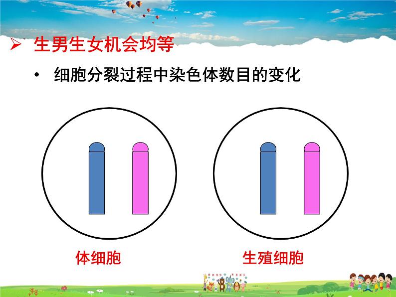 人教版生物八年级下册  7.2.4 人的性别遗传【课件】第7页