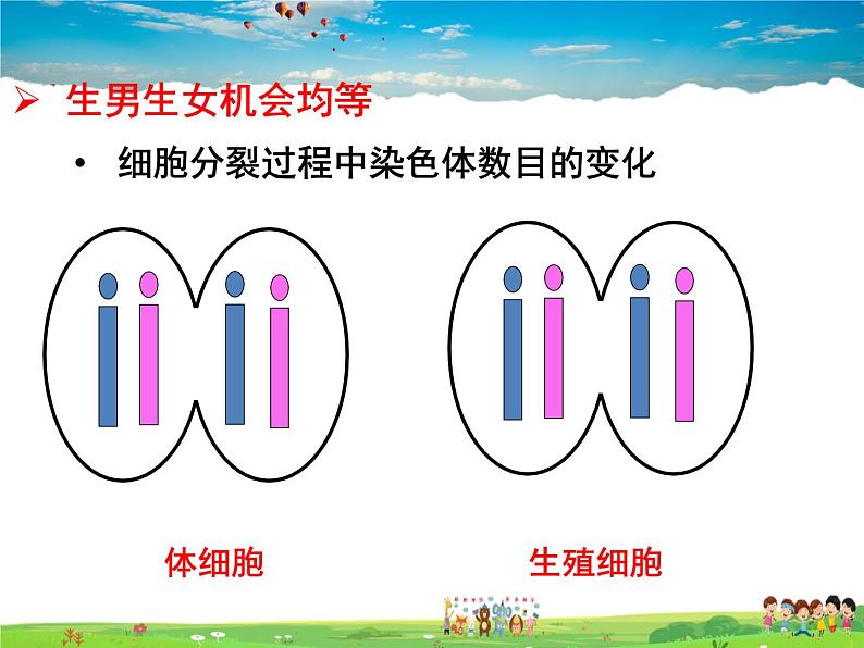 人教版生物八年级下册  7.2.4 人的性别遗传【课件】第8页