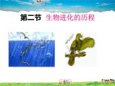 人教版生物八年级下册  7.3.2 生物进化的历程【课件】