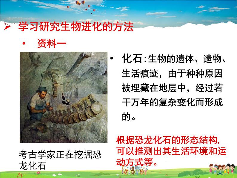 人教版生物八年级下册  7.3.2 生物进化的历程【课件】02