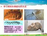 人教版生物八年级下册  7.3.2 生物进化的历程【课件】