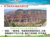 人教版生物八年级下册  7.3.2 生物进化的历程【课件】