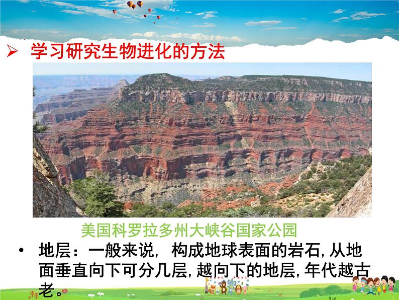 人教版生物八年级下册  7.3.2 生物进化的历程【课件】04