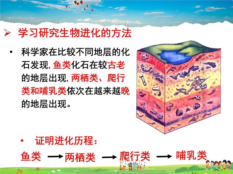人教版生物八年级下册  7.3.2 生物进化的历程【课件】06