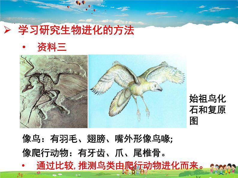 人教版生物八年级下册  7.3.2 生物进化的历程【课件】08