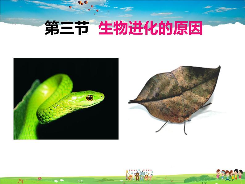 人教版生物八年级下册  7.3.3 生物进化的原因【课件】01