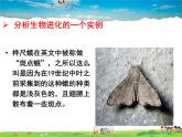 人教版生物八年级下册  7.3.3 生物进化的原因【课件】