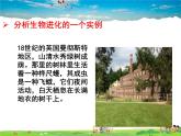 人教版生物八年级下册  7.3.3 生物进化的原因【课件】