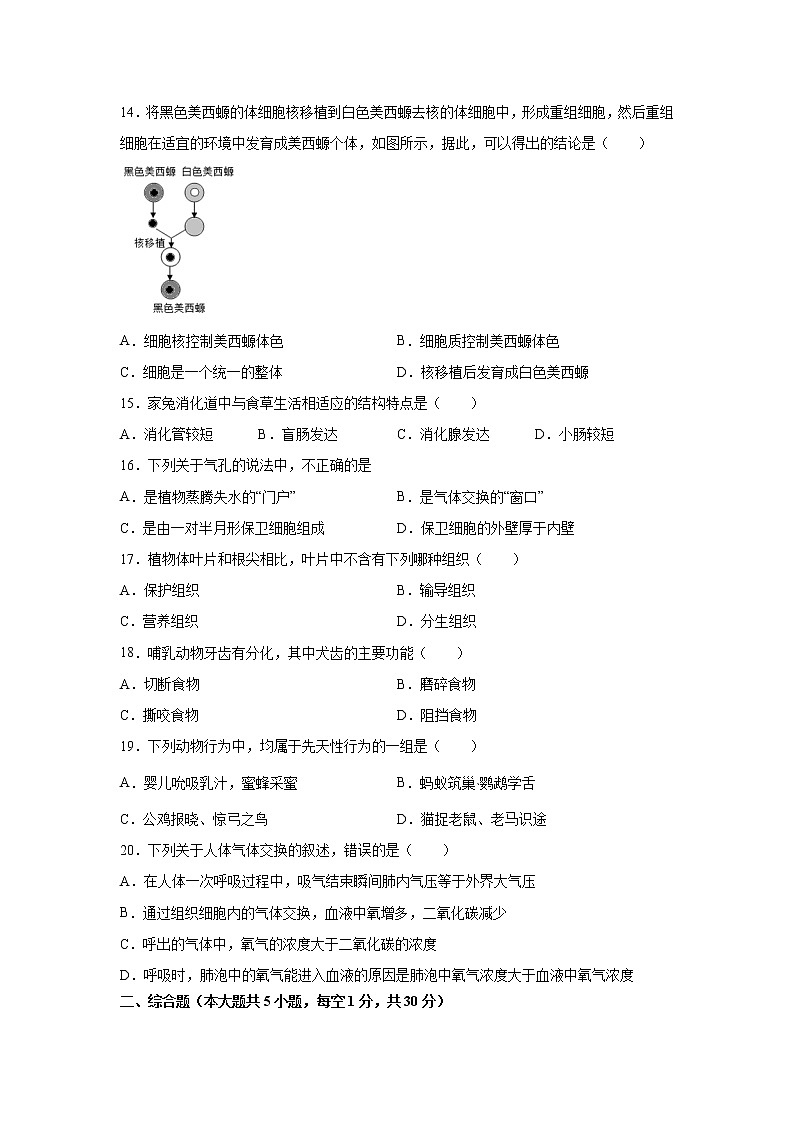 2021-2022学年度吉安市吉安县初中生物中考模拟卷-第3页