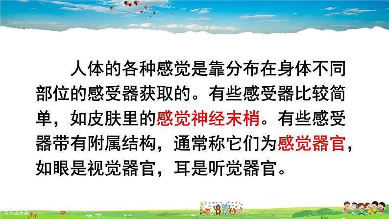 第六章 人体生命活动的调节 人体对外界环境的感知  第1课时 眼和视觉课件PPT05