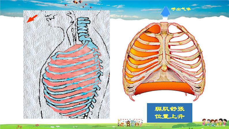 第三章 人体的呼吸  第二节 发生在肺内的气体交换课件PPT08