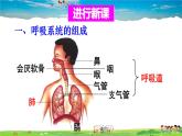 第三章 人体的呼吸  第一节 呼吸道对空气的处理课件PPT