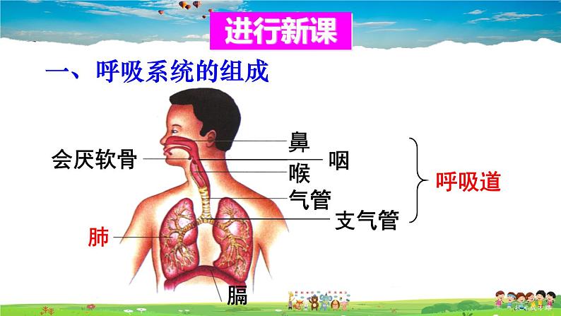 第三章 人体的呼吸  第一节 呼吸道对空气的处理课件PPT04