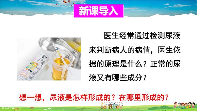 第五章 人体内废物的排出  第2课时 尿的形成和排出课件PPT第2页