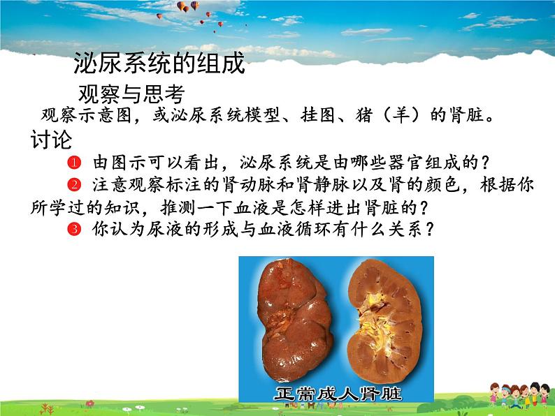 人教版生物七年级下册  4.5人体内废物的排出【课件】第5页