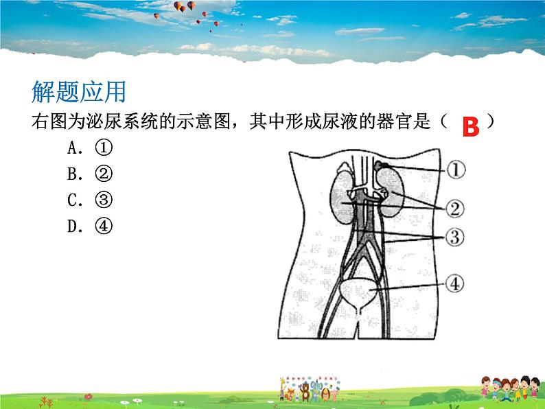 人教版生物七年级下册  4.5人体内废物的排出【课件】第7页