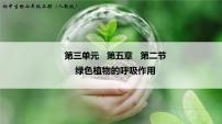 绿色植物的呼吸作用PPT课件免费下载