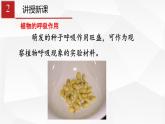 绿色植物的呼吸作用PPT课件免费下载