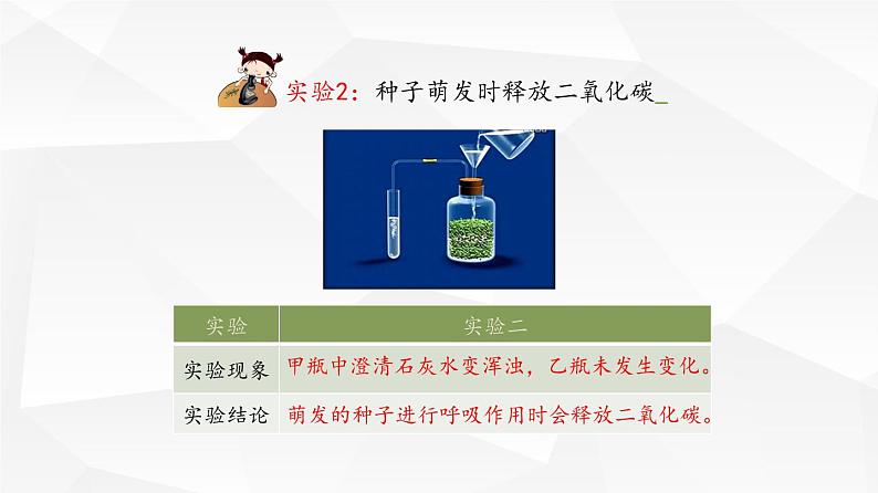 绿色植物的呼吸作用PPT课件免费下载06