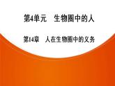 2021年中考广东专用生物知识点梳理复习第4单元 第14章　人在生物圈中的义务  课件