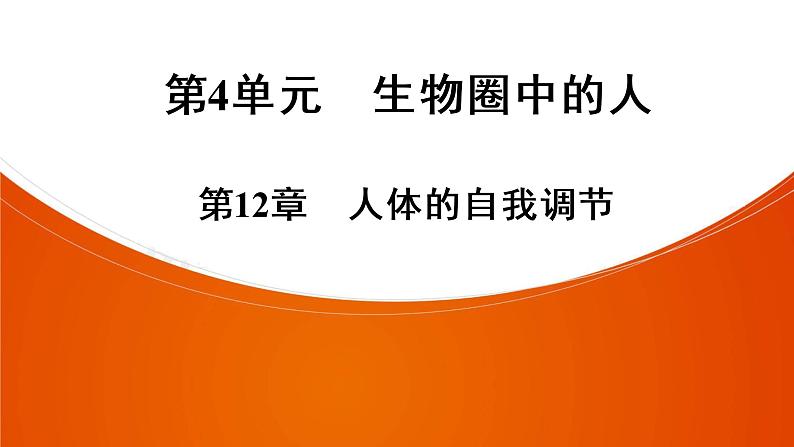 2021年中考广东专用生物知识点梳理复习第4单元 第12章　人体的自我调节   课件第1页