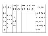 2021年中考广东专用生物知识点梳理复习第4单元 第12章　人体的自我调节   课件